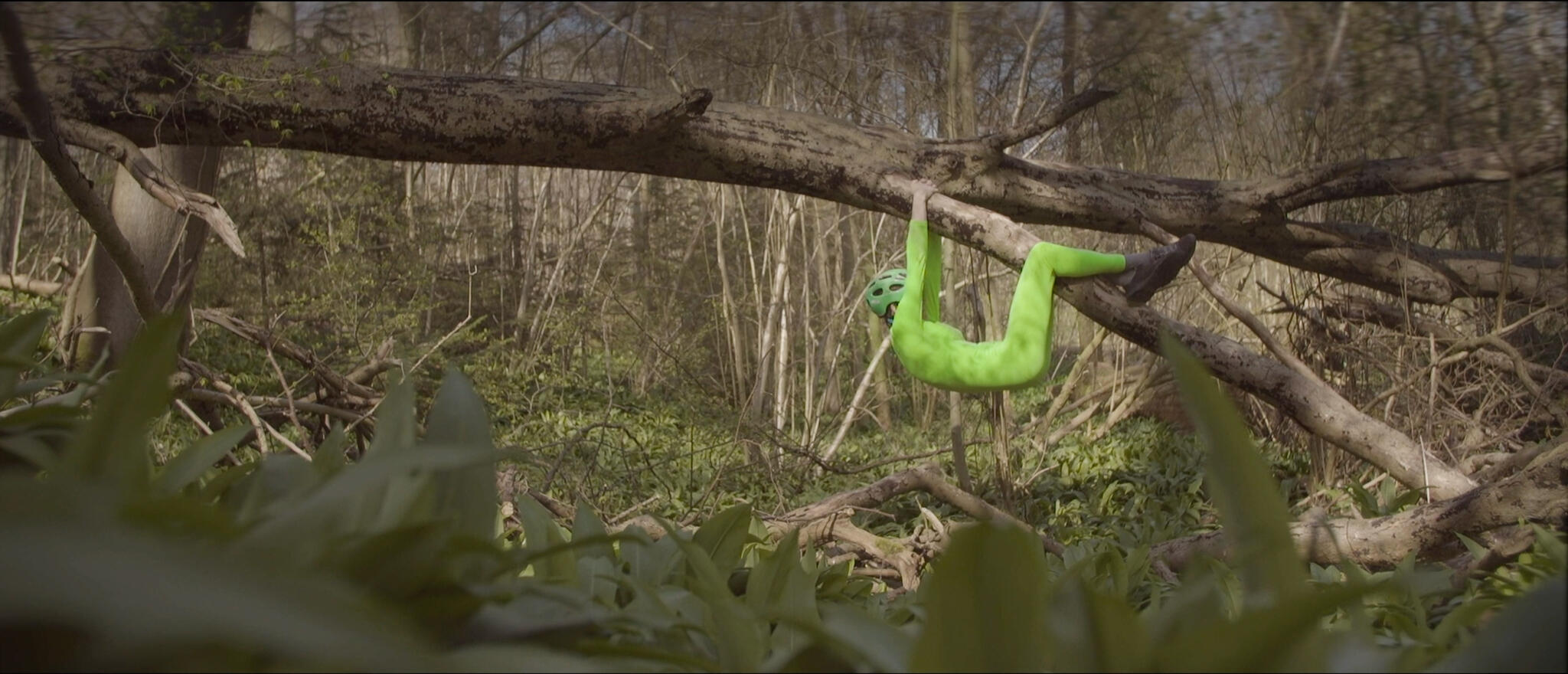 The Caterwoman -the movie