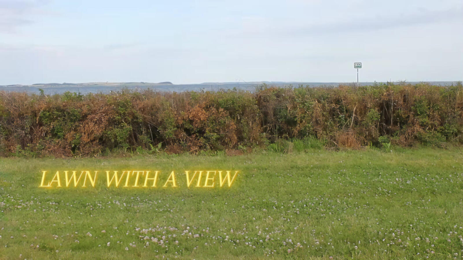 LAWN WITH A VIEW