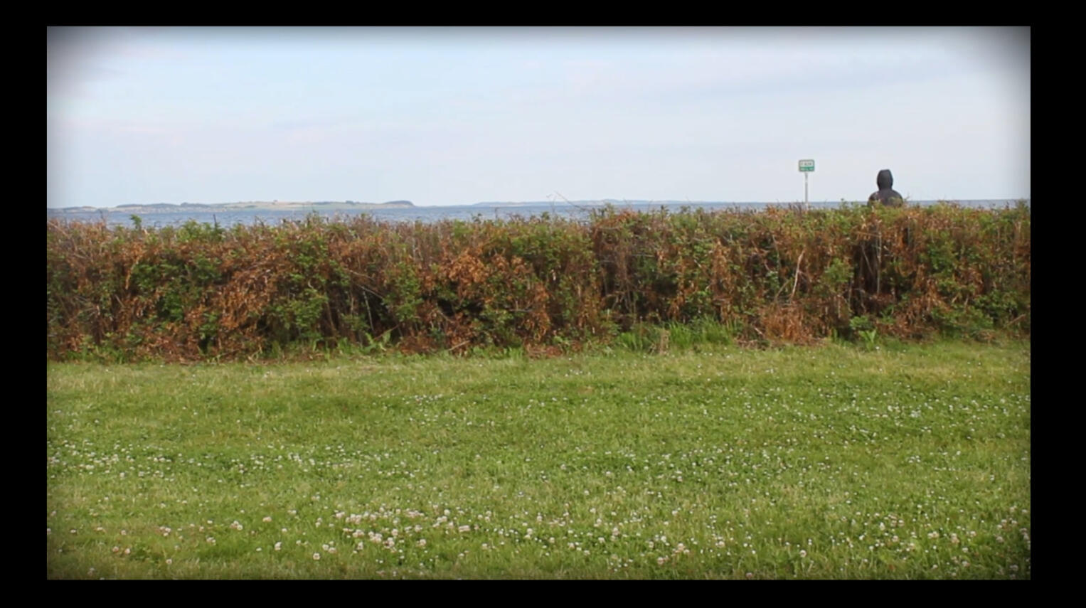 Horizon Scan - Shooting the (Un)Known